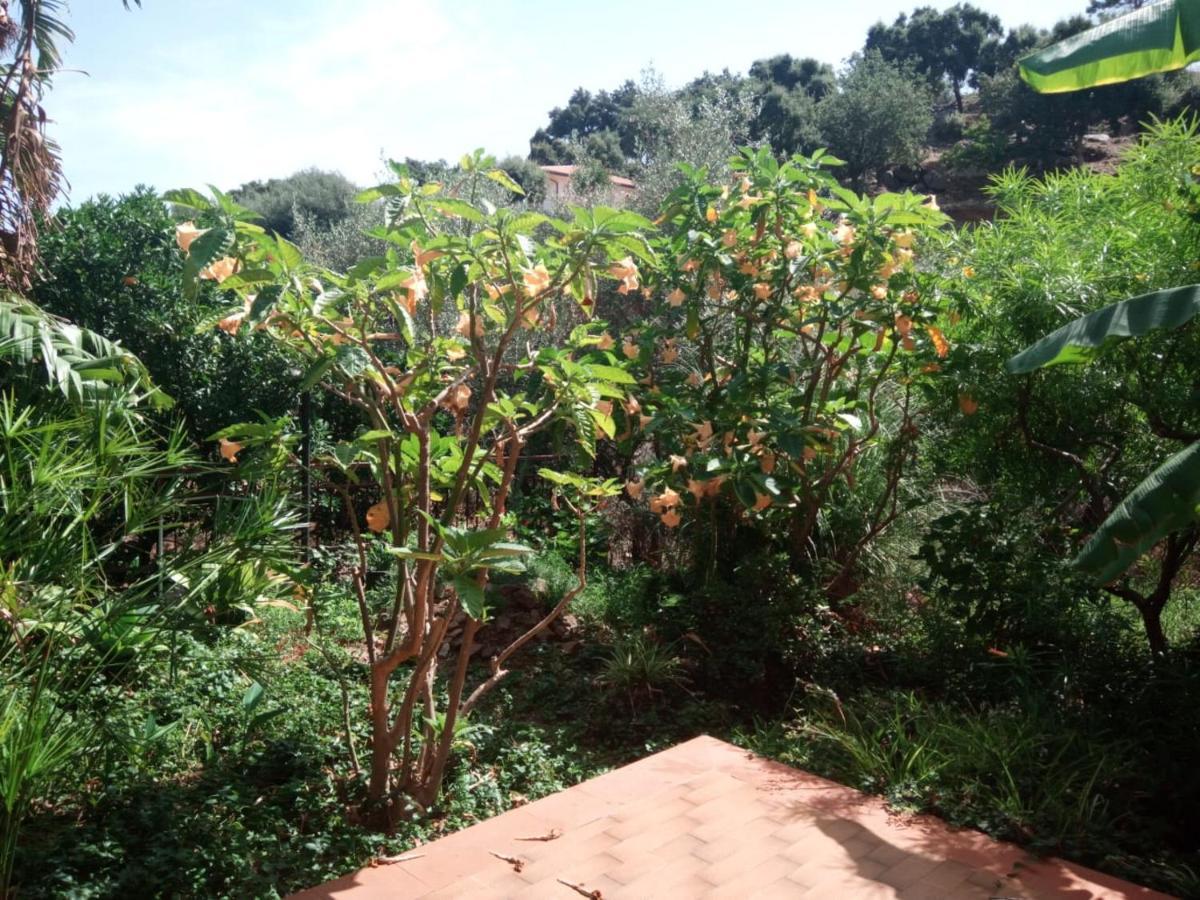 Stanza In Villa Con Giardino Vista Mare Cefalu Exterior photo