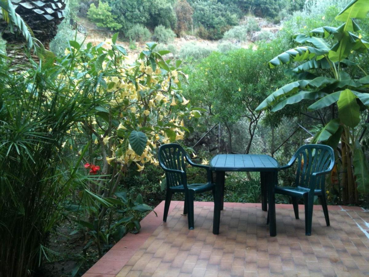 Stanza In Villa Con Giardino Vista Mare Cefalu Exterior photo